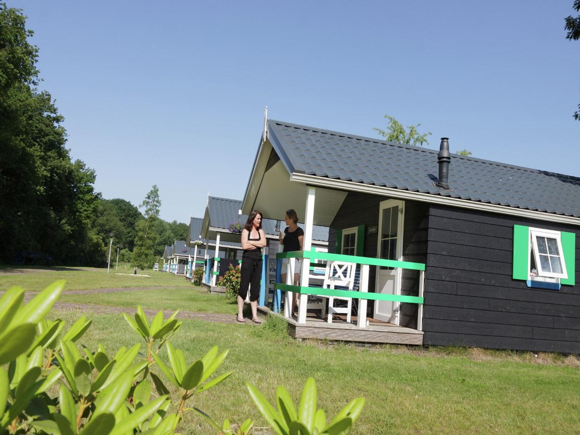 Chalet With Dishwasher, In Natural Environment IJhorst Exterior photo