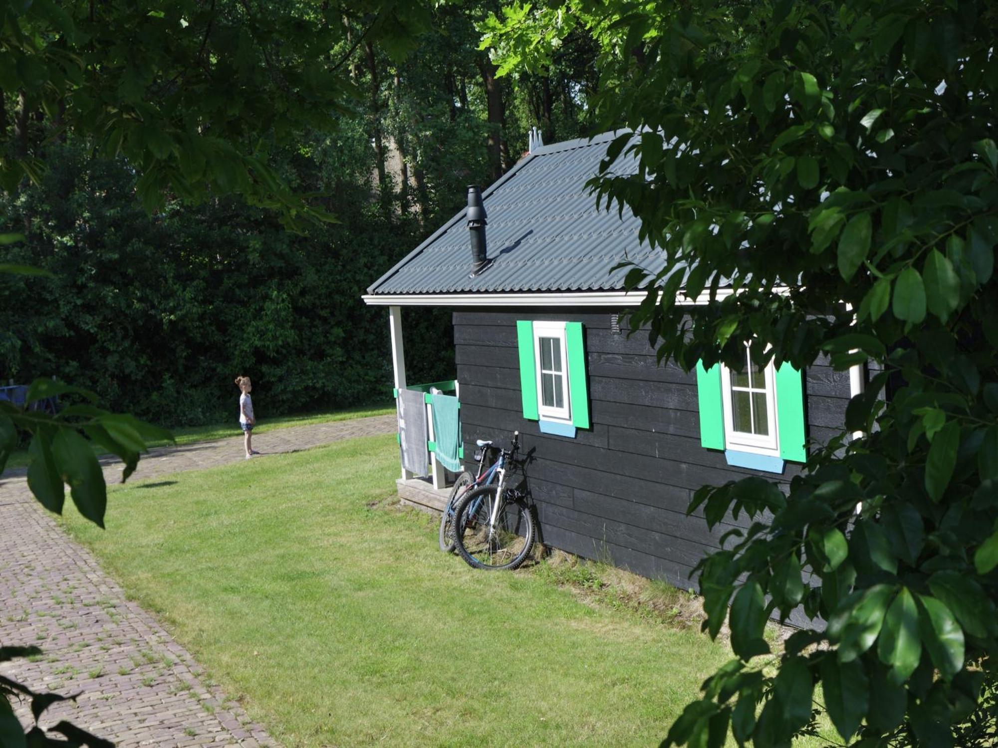 Chalet With Dishwasher, In Natural Environment IJhorst Exterior photo